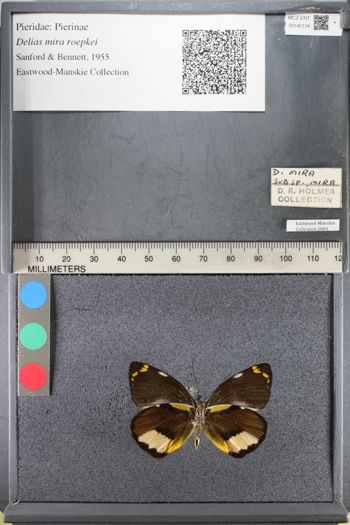 Media type: image;   Entomology 140134